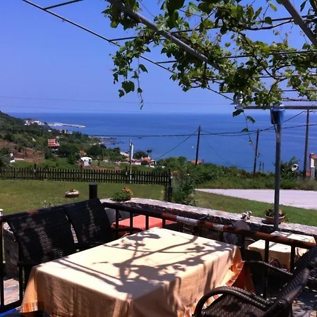 Paradies Ano Polidhendrion