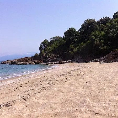 Paradies * Ano Polidhendrion